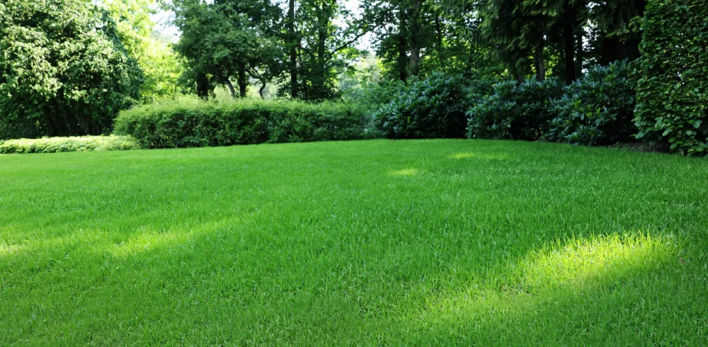 Moderní gabionový plot ve svažitém terénu